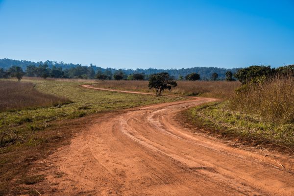 Dirt Driveway Repair in Warren