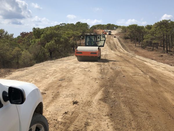 Cost of Driveway Grading in Warren