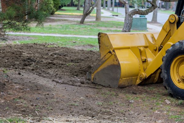 Backfilling Service in Warren