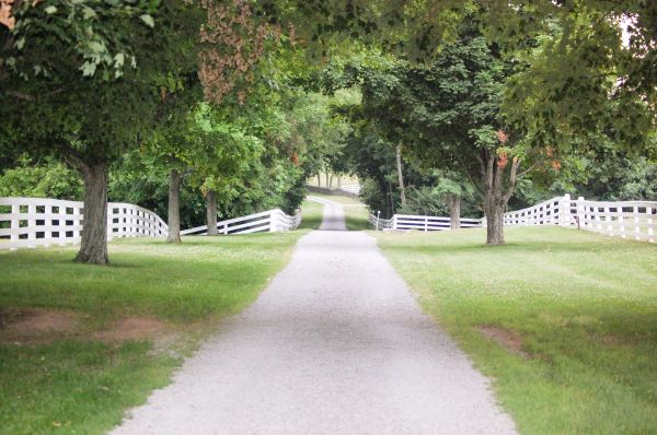 Gravel Driveway Construction in Warren