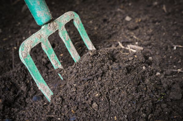 Topsoil Spreading in Warren