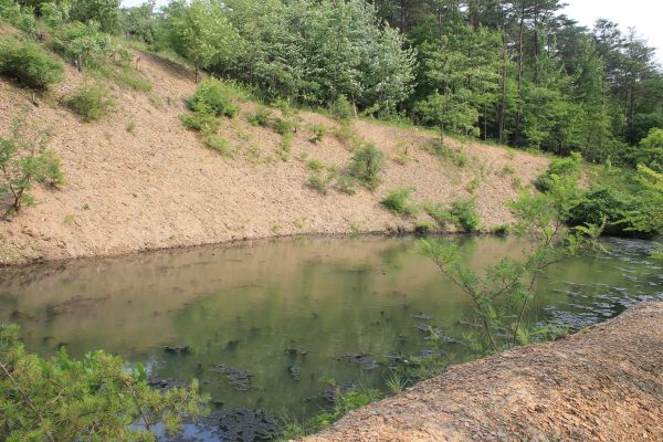 Pond Erosion Repair in Warren
