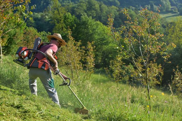 Cost of Slope Trimming in Warren